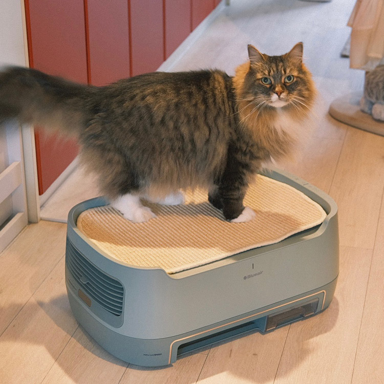 PetAir Pro P3i Green