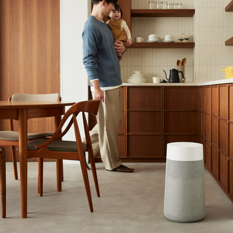 【花粉対策】Blue Max 3250＆Mini Restful SC9i CBセット