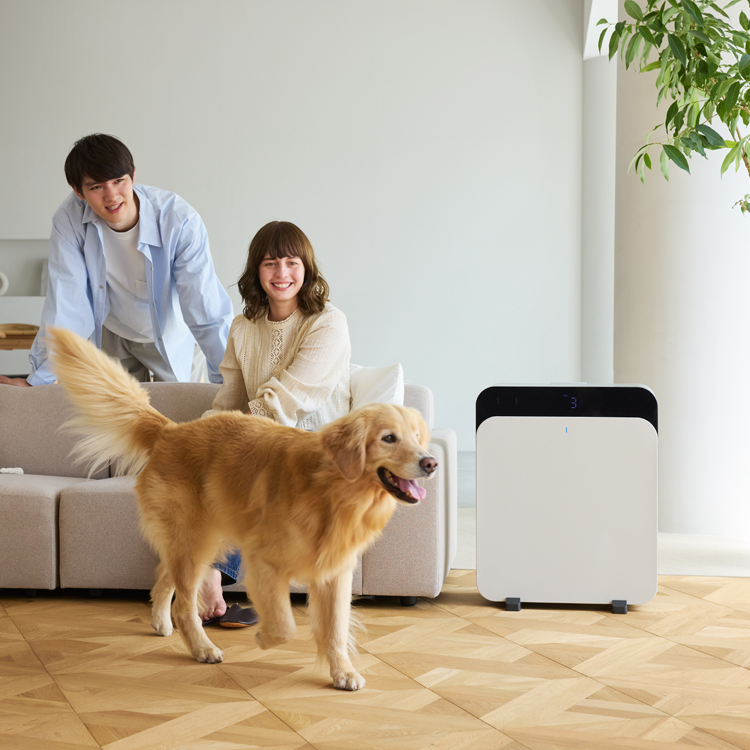 【花粉対策・LDK＆寝室】Classic Pro CP7i＆Mini Restful SC9i CBセット