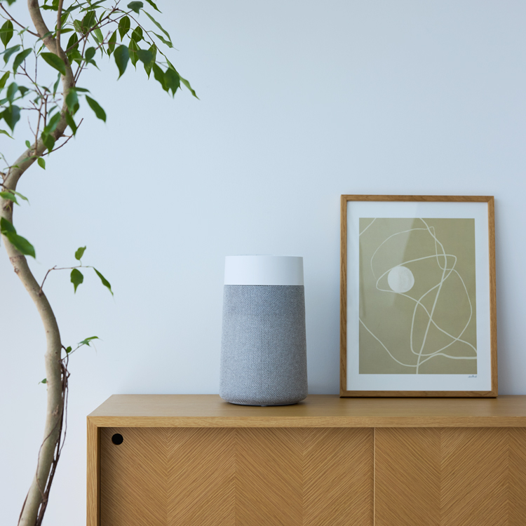 【花粉対策・LDK＆玄関】Blue Signature SP4i＆Blue Mini Maxセット