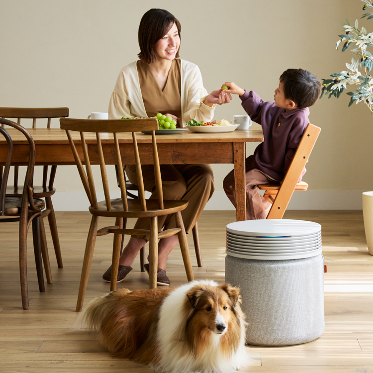 【花粉対策・LDK＆玄関】Blue Signature SP4i＆Blue Mini Maxセット