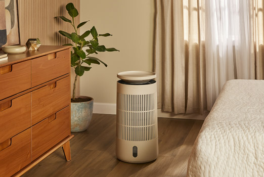 Mini Restful 本体イメージ