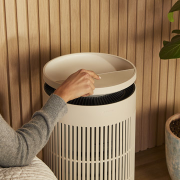 日の出をイメージした光と自然音のイメージ