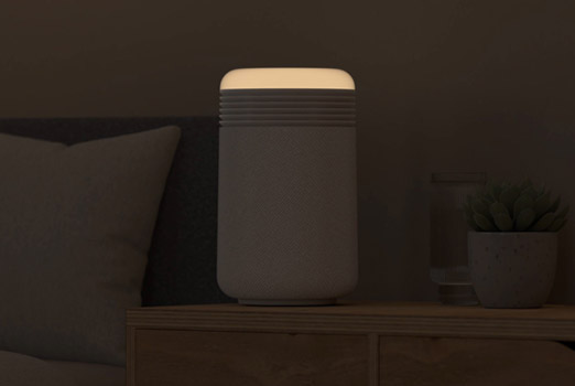 Mini Restful 本体イメージ