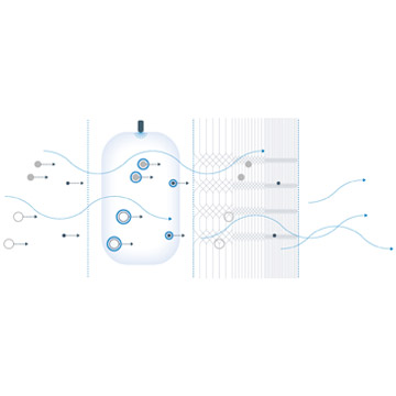 日の出をイメージした光と自然音のイメージ
